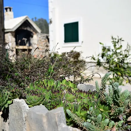 Apartamento Ivica